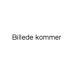 Blomsterløg